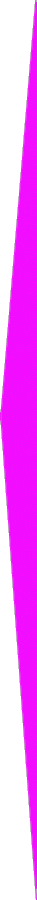 Previous